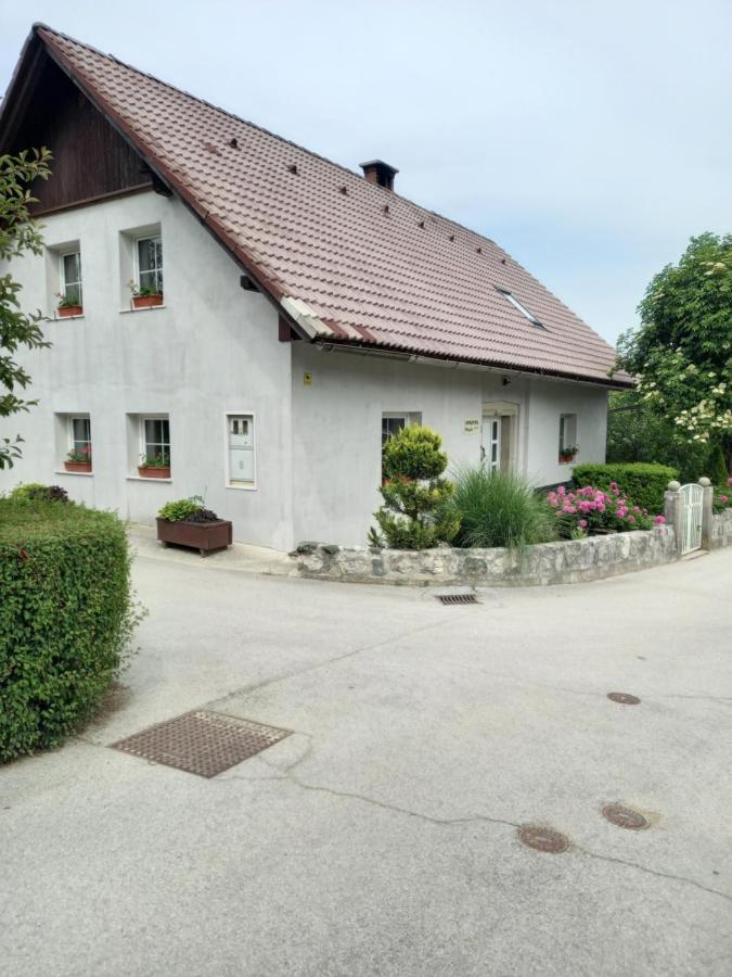 Apartmaji Magda Zgornje Gorje Exterior foto