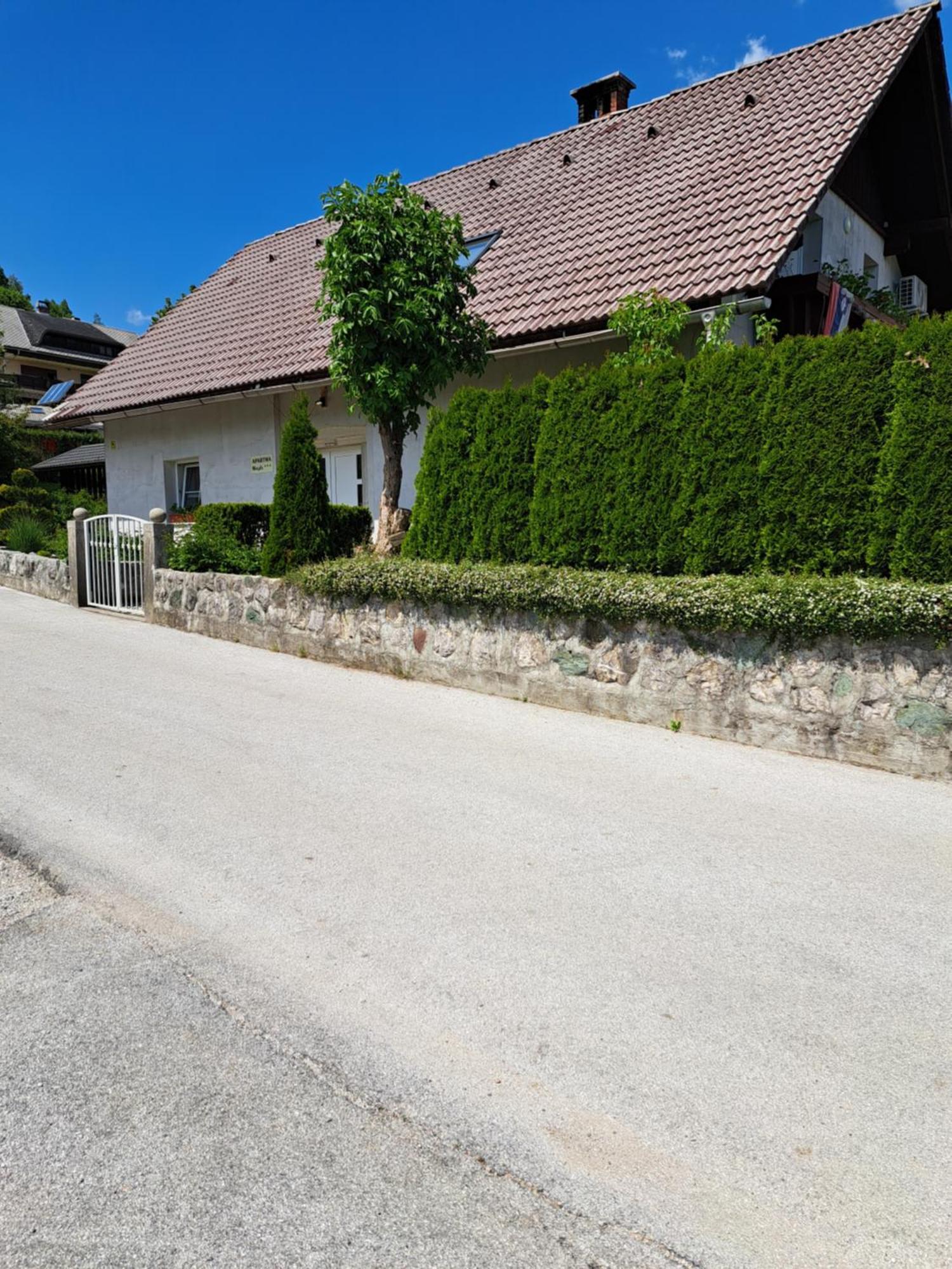 Apartmaji Magda Zgornje Gorje Exterior foto